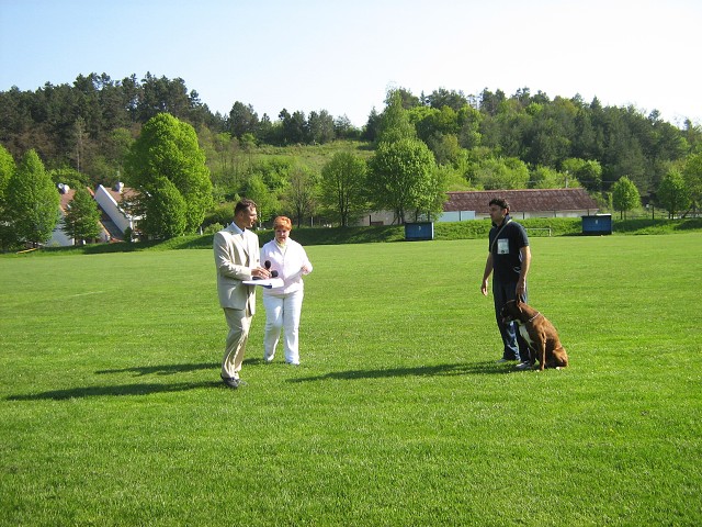 www.atibox.net * www.euroboxer.eu * www.boxergenealogia.eu